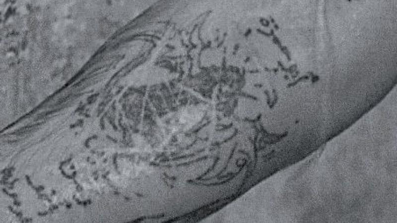 Scars and Traces