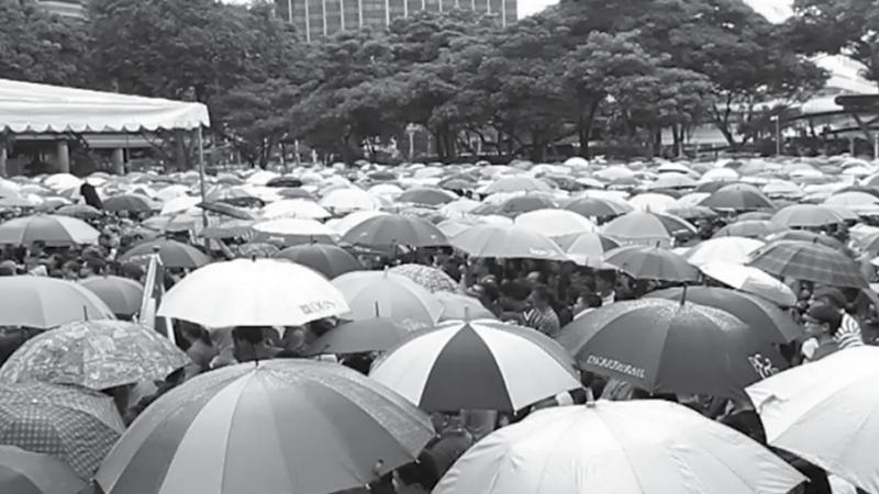 Young Activists