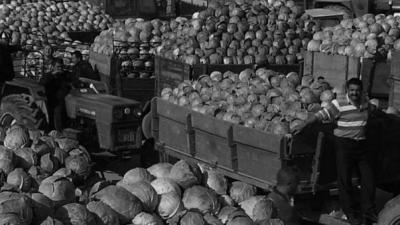 Cabbage, Potatoes and Other Demons