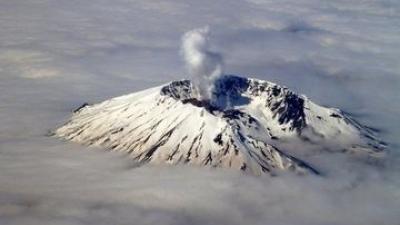 Mount St. Helens - Life from Zero