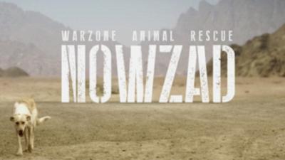 Nowzad: Warzone Animal Rescue