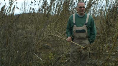 The Hemp Farm Banner